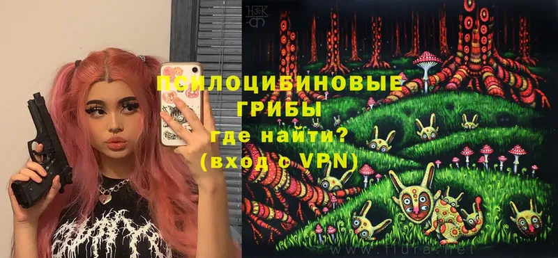 Псилоцибиновые грибы мухоморы  купить наркотик  KRAKEN   Верещагино 